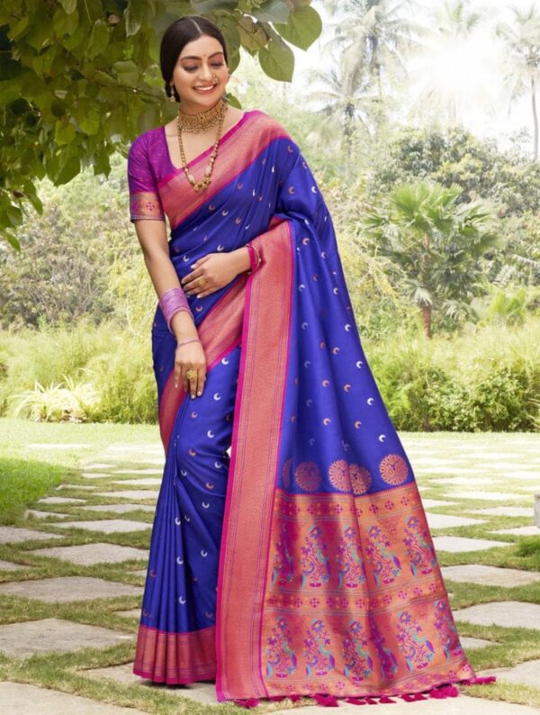 A Glimpse of Royalty Paithani